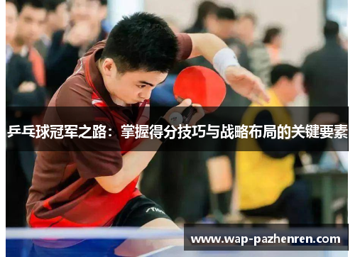 乒乓球冠军之路：掌握得分技巧与战略布局的关键要素