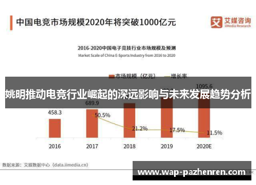 姚明推动电竞行业崛起的深远影响与未来发展趋势分析