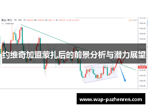 约维奇加盟蒙扎后的前景分析与潜力展望
