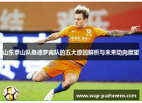 山东泰山队桑德罗离队的五大原因解析与未来动向展望