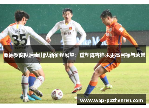 桑德罗离队后泰山队新征程展望：重塑阵容追求更高目标与荣誉