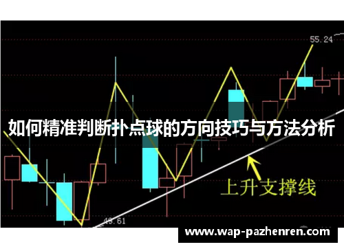 如何精准判断扑点球的方向技巧与方法分析