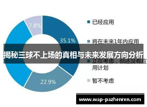 揭秘三球不上场的真相与未来发展方向分析