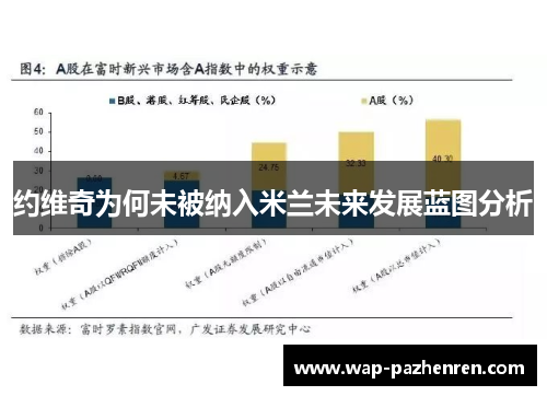 约维奇为何未被纳入米兰未来发展蓝图分析