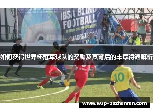 如何获得世界杯冠军球队的奖励及其背后的丰厚待遇解析