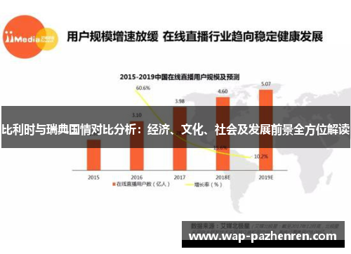 比利时与瑞典国情对比分析：经济、文化、社会及发展前景全方位解读