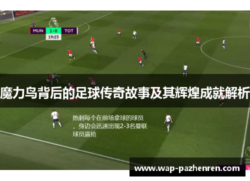 魔力鸟背后的足球传奇故事及其辉煌成就解析
