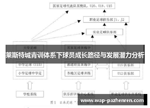 莱斯特城青训体系下球员成长路径与发展潜力分析